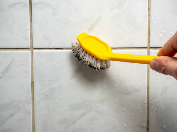 Best Mold Cleaning Services  in Bellefonte, PA