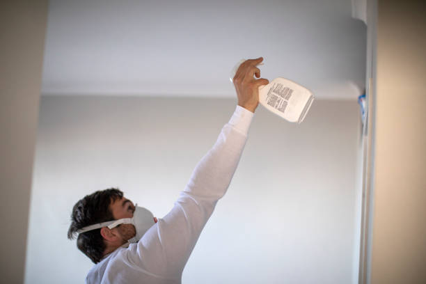 Professional Mold Removal in Bellefonte, PA